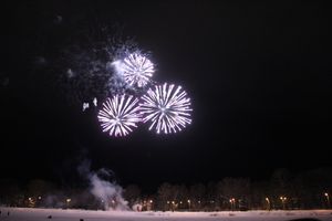 В Великих Луках зажглась новогодная ёлка (ФОТО)