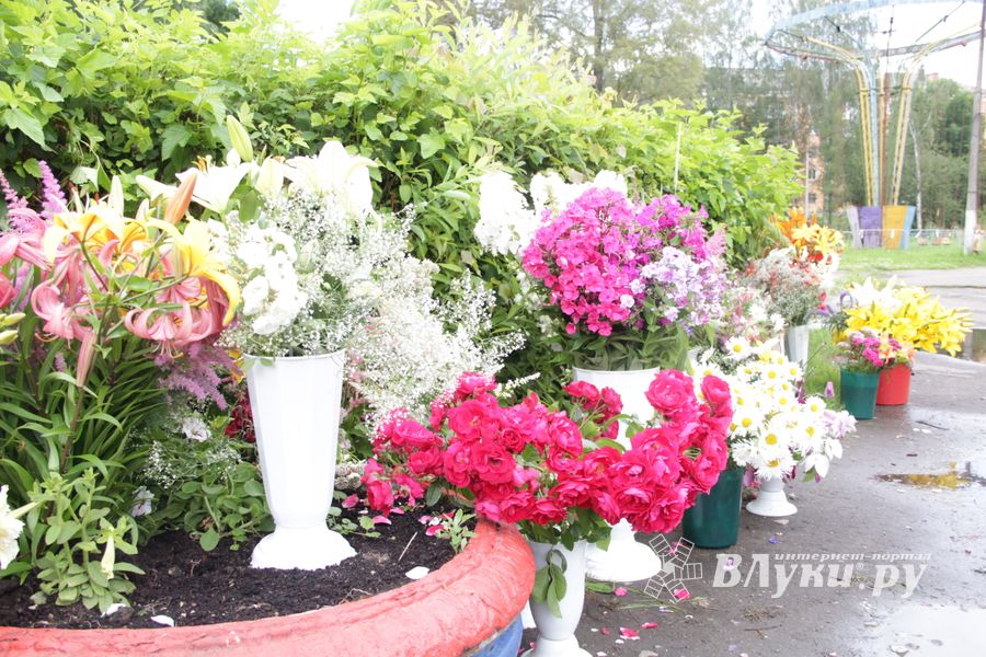 «Парад детских колясок» в День семьи, любви и верности (ФОТО)