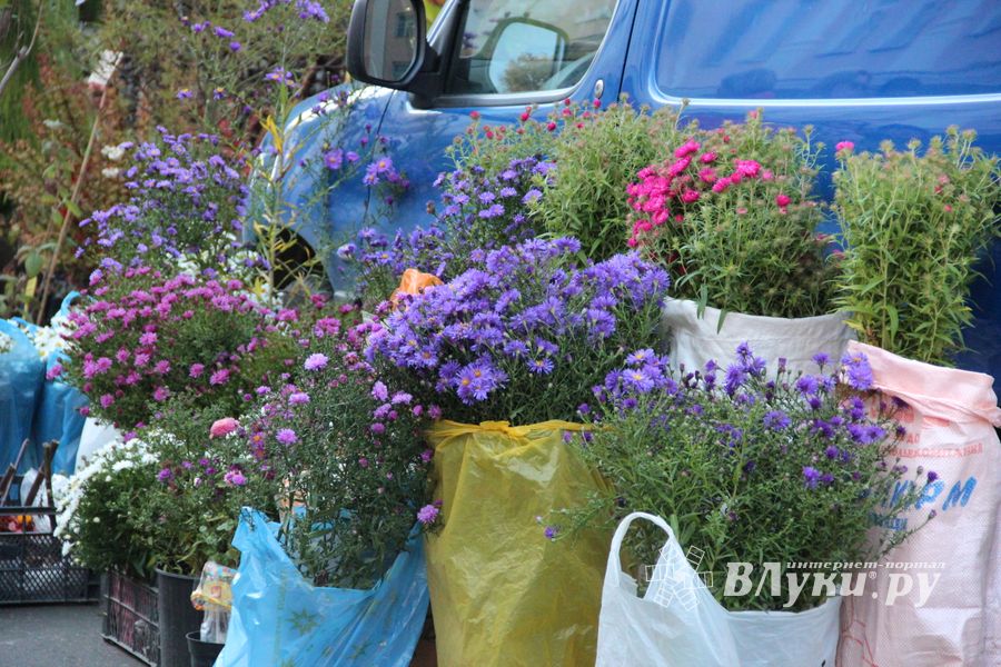В Великих Луках прошла универсальная осенняя ярмарка (ФОТО)