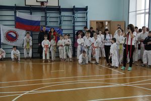 В Великих Луках прошел  турнир по Шотокан каратэ