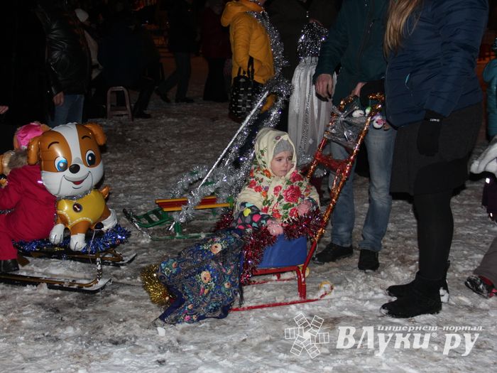 В Великих Луках зажглась новогодная ёлка (ФОТО)