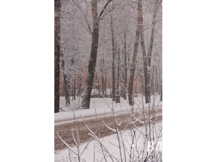 В Великих Луках снегопад и «день жестянщика» (фото)