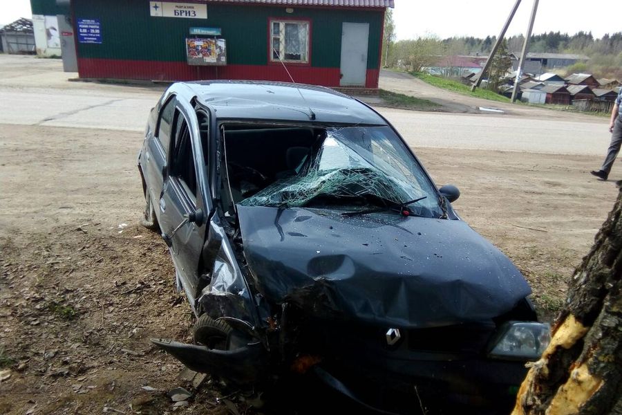 В поселке Кунья водитель «Рено» не смог разминуться с деревом (ФОТО)