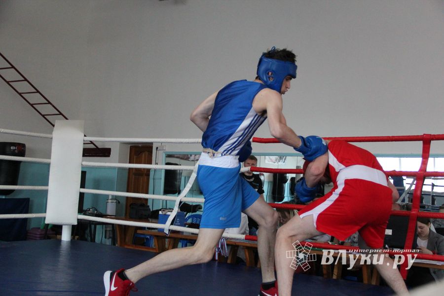 В Великих Луках завершился открытый турнир по боксу (ФОТО)