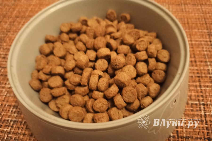 ©ВЛуки.ру