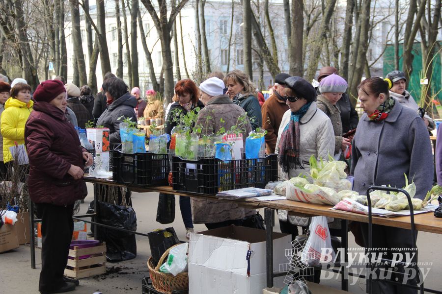 Универсальная торговая ярмарка «Весна-2015» прошла в Великих Луках (фото)