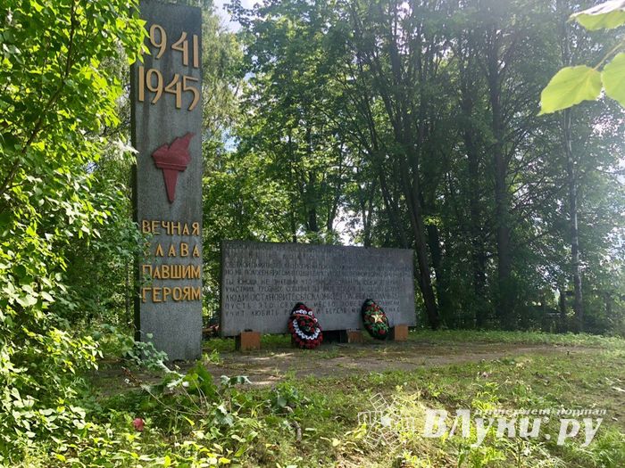 Встревоженных дачников Пореченской волости успокоили (ФОТО)