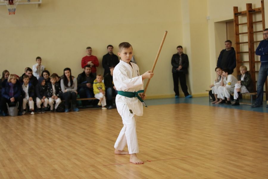 В Великих Луках прошло Первенство города по ВБЕ «КОБУДО» (ФОТО)