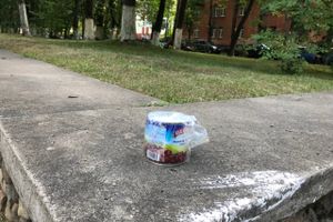 Парк Пушкина: «... А вкруг меня глухое запустенье...» (ФОТО)