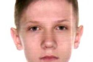 В Псковской области нашли пропавшего подростка