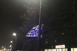 Великолукских белок не выдерживают уличные столбы (ФОТО)