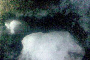 Фото с www.afanasy.biz