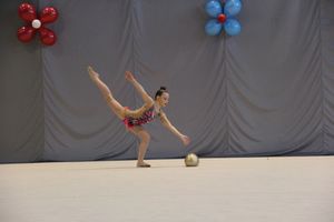 В Великих Луках прошли соревнования на Кубок Псковской области по художественной гимнастике (ФОТО)