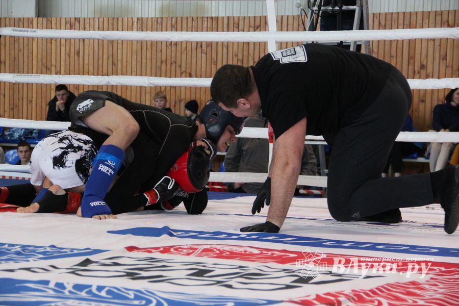 Открытый кубок по смешанному боевому единоборству ММА прошел в Великих Луках (ФОТО)