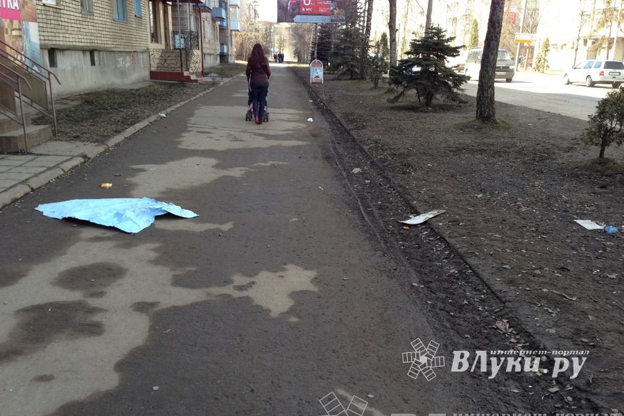 Весне дорогу!