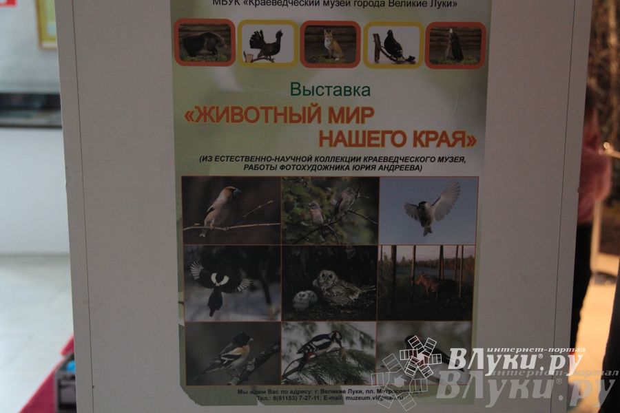 Обзор выставок Краеведческого музея