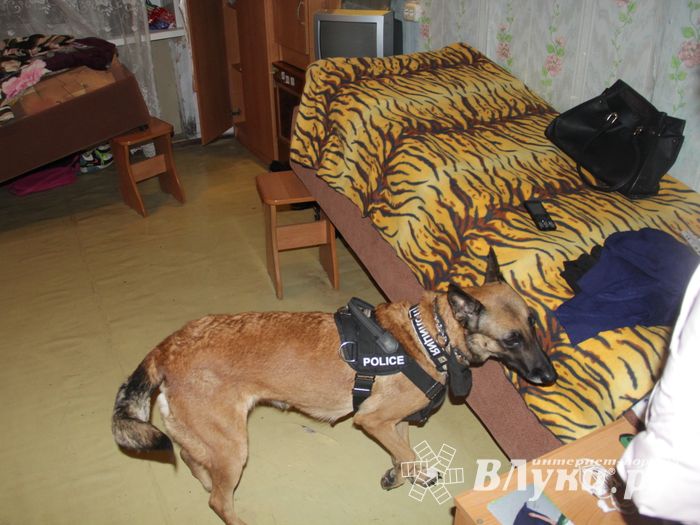 В Великих Луках проходит акция «Сообщи где торгуют смертью» (ФОТО)