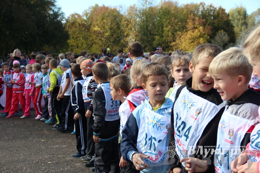 Кросс нации