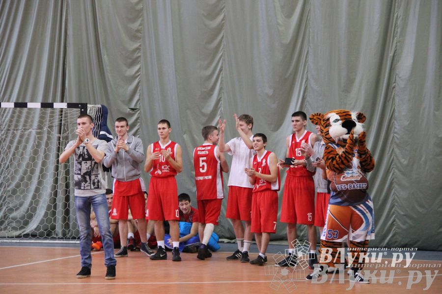 Чемпионат ШБЛ «КЭС-БАСКЕТ» сезона 2013-2014 гг. Псковской области