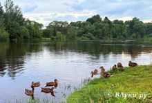 Прогноз погоды на 18 июля в Великих Луках