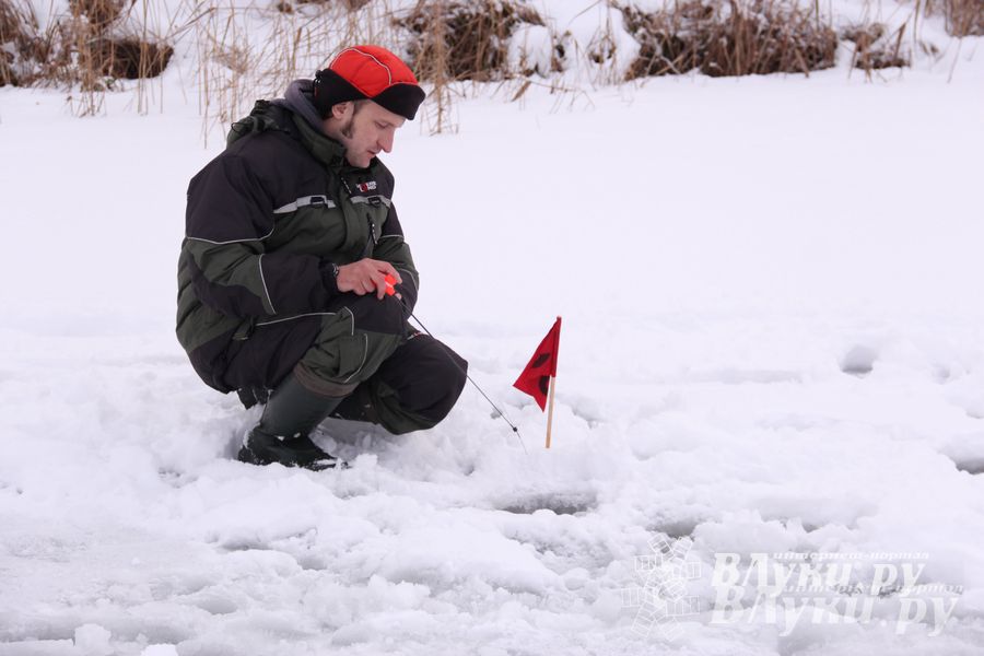 Подведены итоги Открытого чемпионата Великих Лук по рыболовному спорту (фото)