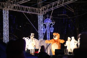 В Великих Луках зажглась новогодная ёлка (ФОТО)