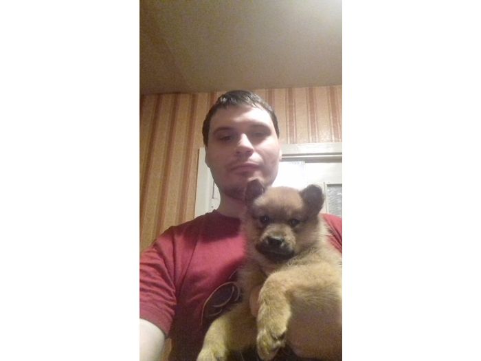 Объявляем победителей фотоконкурса «Косточка к Новому году» (ФОТО)