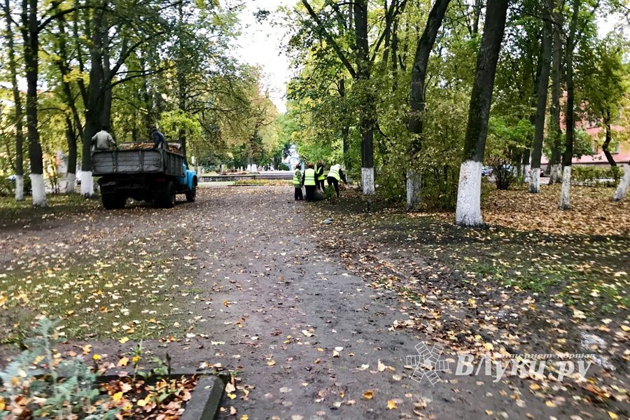 Роща «отряхает» — коммунальщики убирают (ФОТО)