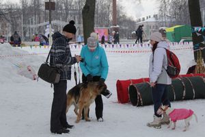 В Великих Луках прошел праздник Масленицы (ФОТО)