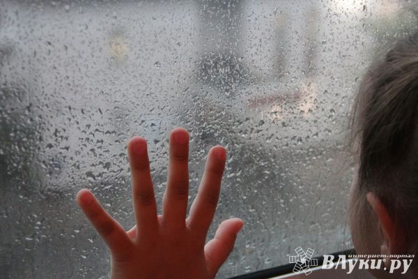 Сегодня в Великих Луках возможен дождь