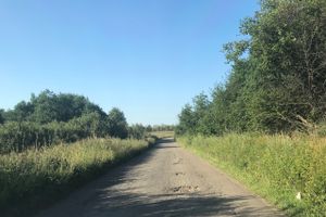 Губернатора просят отремонтировать дорогу в Рыжаково (ФОТО)