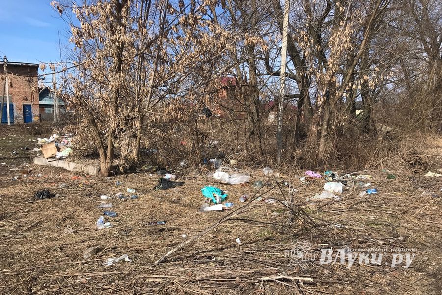 На набережной Лазавицкой угрожающе растёт помойка (ФОТО)