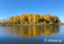 Прогноз погоды в Великих Луках на 7 октября