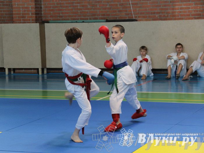 Турнир по каратэ «Неприкосновенный запас — дети Отчизны»