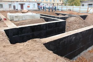 В скором времени нерадивых великолучан станет проще изолировать (ФОТО)