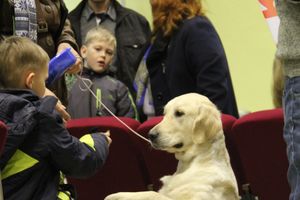 Всероссийская выставка собак «Великие Луки — 2014»
