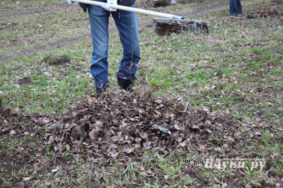 Городские СМИ провели субботник (ФОТО)