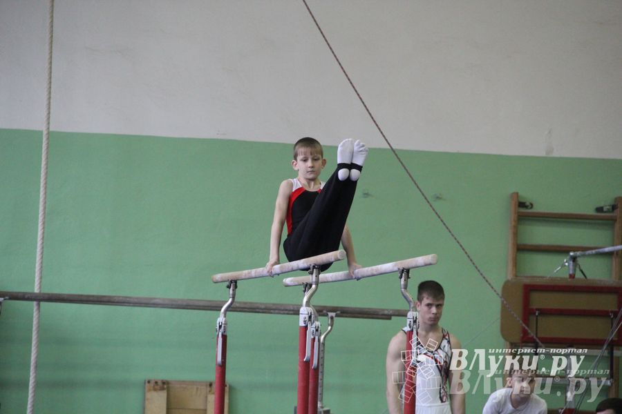 В Великих Луках прошел турнир по спортивной гимнастике (фото)