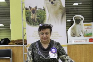 Всероссийская выставка собак «Великие Луки — 2014»