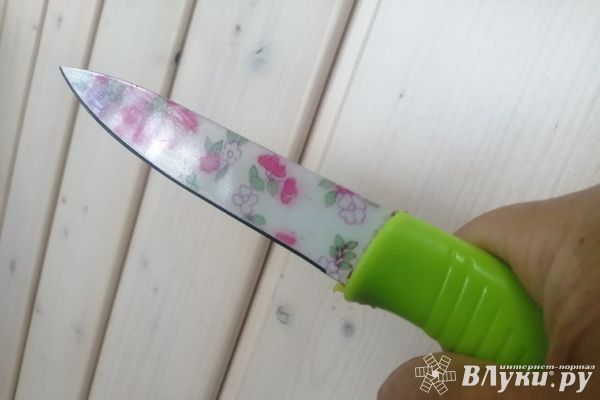 Во время конфликта великолучанка пустила в ход нож