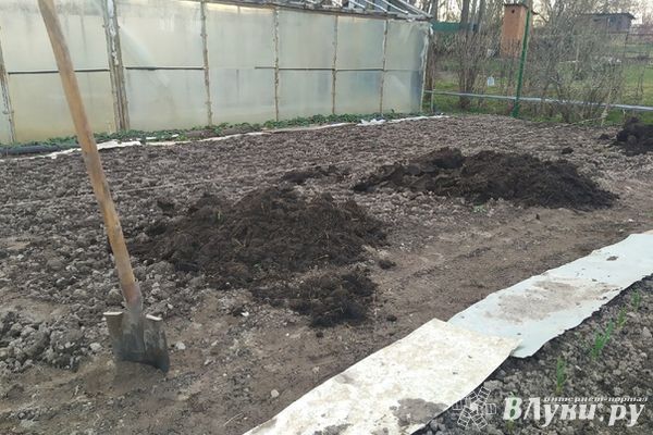 Госдума продлила «дачную амнистию» для общих построек СНТ