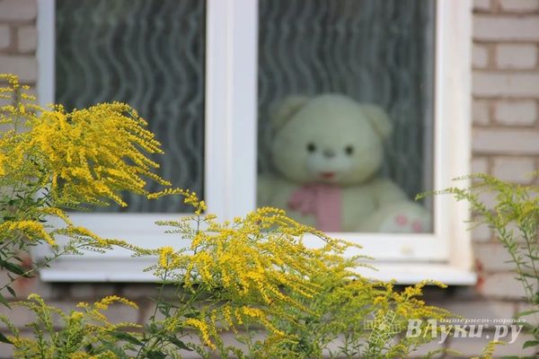 Сироту и ее соседей в Великих Луках требуют выселить из муниципальной квартиры