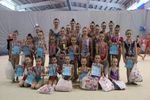 ​В Великих Луках прошли соревнования по художественной гимнастике (ФОТО)