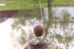 Чемпионат Великих Лук по ловле спиннингом: клевала, но мало (ФОТО)