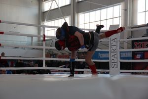 В Великих Луках проходит открытый кубок по смешанному боевому единоборству ММА (ФОТО) (12+)