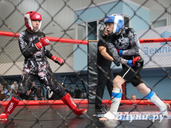 В Великих Луках прошел кубок по смешанному боевому единоборству (ФОТО)
