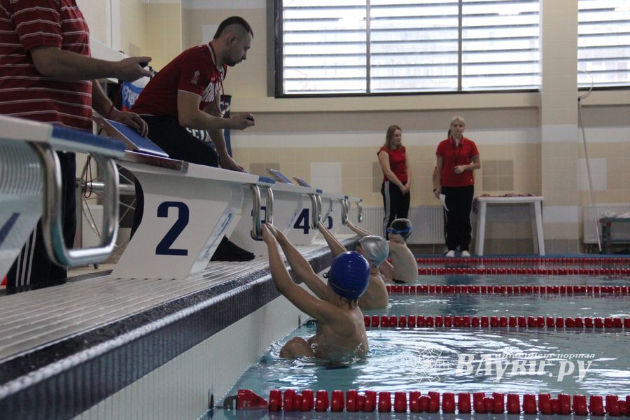 В Великих Луках прошло Первенство города по плаванию (ФОТО)