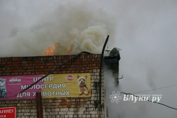 Неисправная печь в приюте для животных спровоцировала пожар