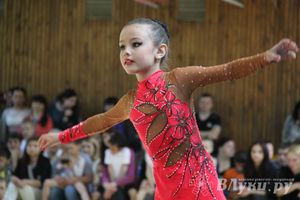 В Великих Луках прошло Первенство по художественной гимнастике (фото)