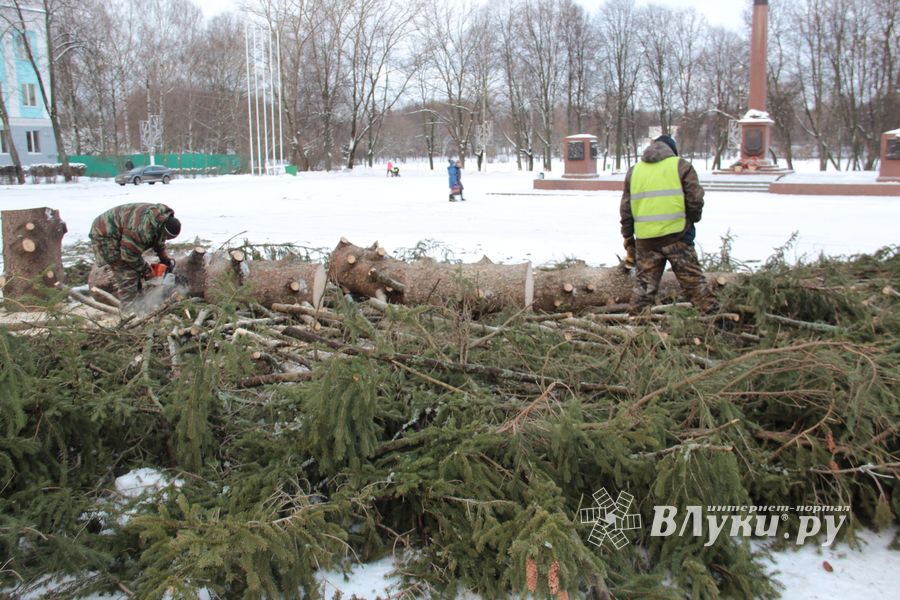 Главная городская ёлка отправилась на свалку (ФОТО)
